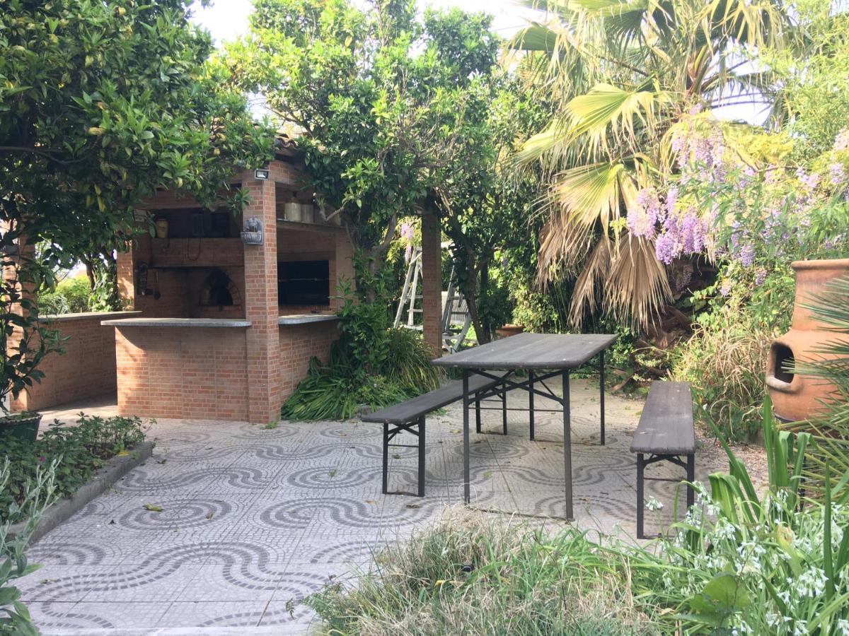 Casa Das Flores Leiria Silvercoast Portugal Monte Redondo Zewnętrze zdjęcie