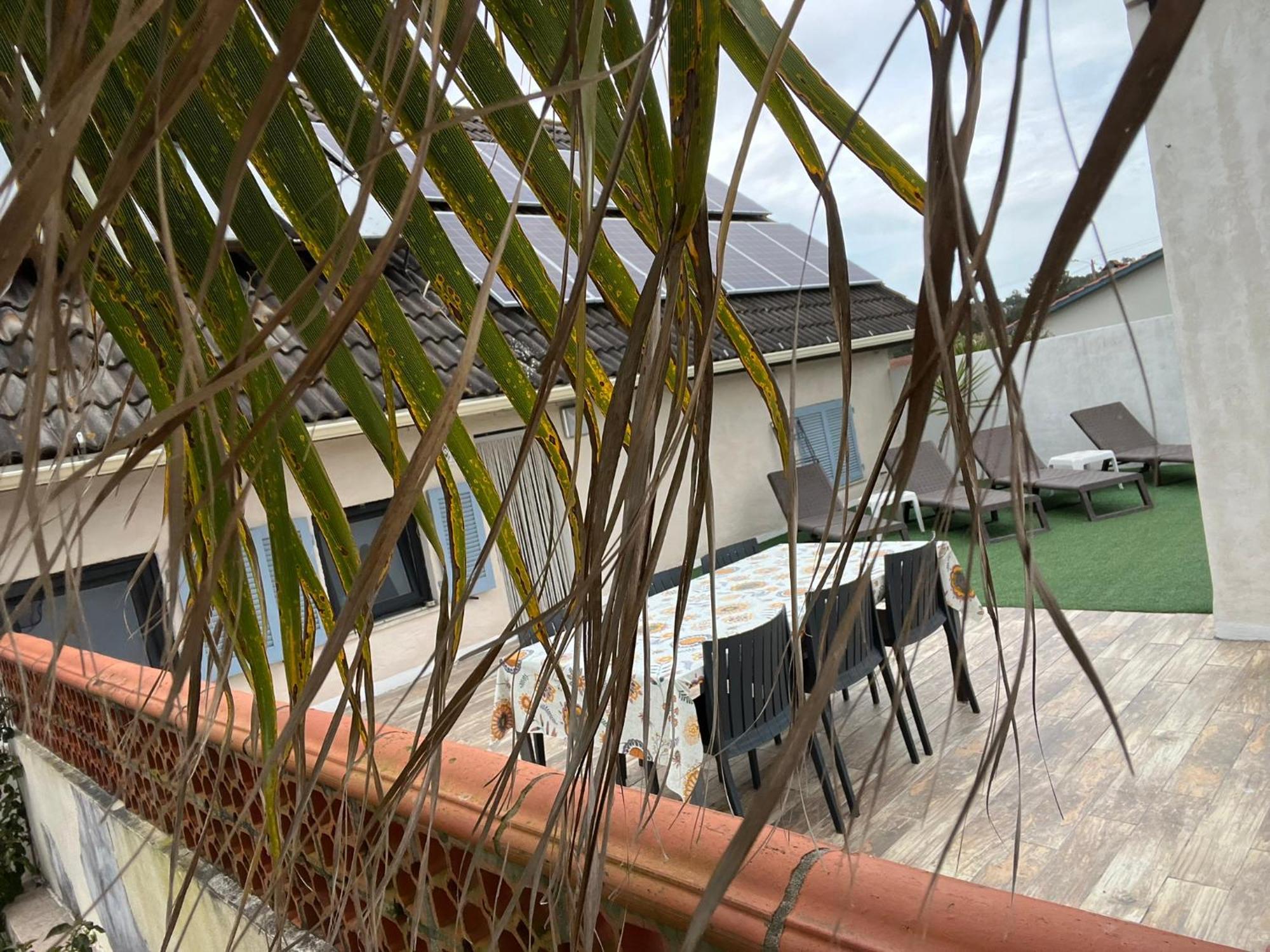 Casa Das Flores Leiria Silvercoast Portugal Monte Redondo Zewnętrze zdjęcie